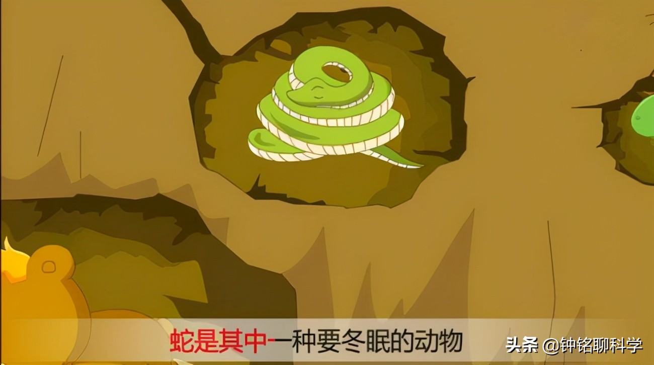 蛇冬眠挖出来是不是没攻击性,蛇冬眠在生物上是什么行为