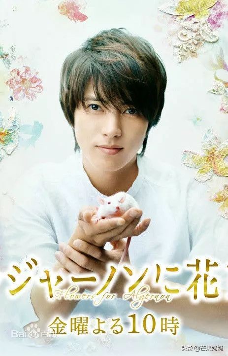 山下智久最近新闻,山下智久为什么被雪藏