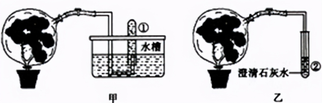 人教版七年级生物植物的呼吸作用,生物光合作用与呼吸作用的综合题