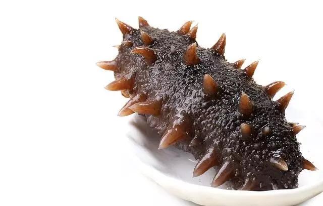 吃海参的常见误区你中枪了吗,吃海参前必须要知道这三件事