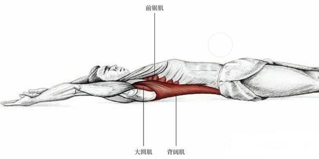 wildfieldhealth蛋白粉的副作用,wildfieldhealth怎么样