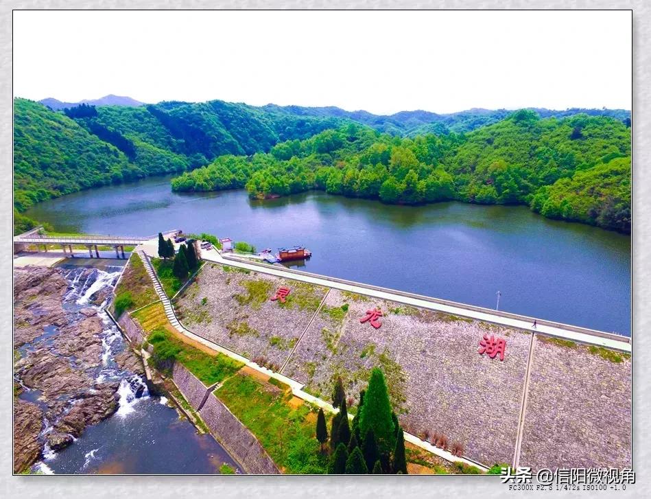 罗山县首届摸鱼节,信阳摸鱼节