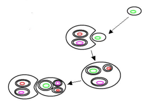 蓝藻这么复杂是如何诞生的,蓝藻有多伟大