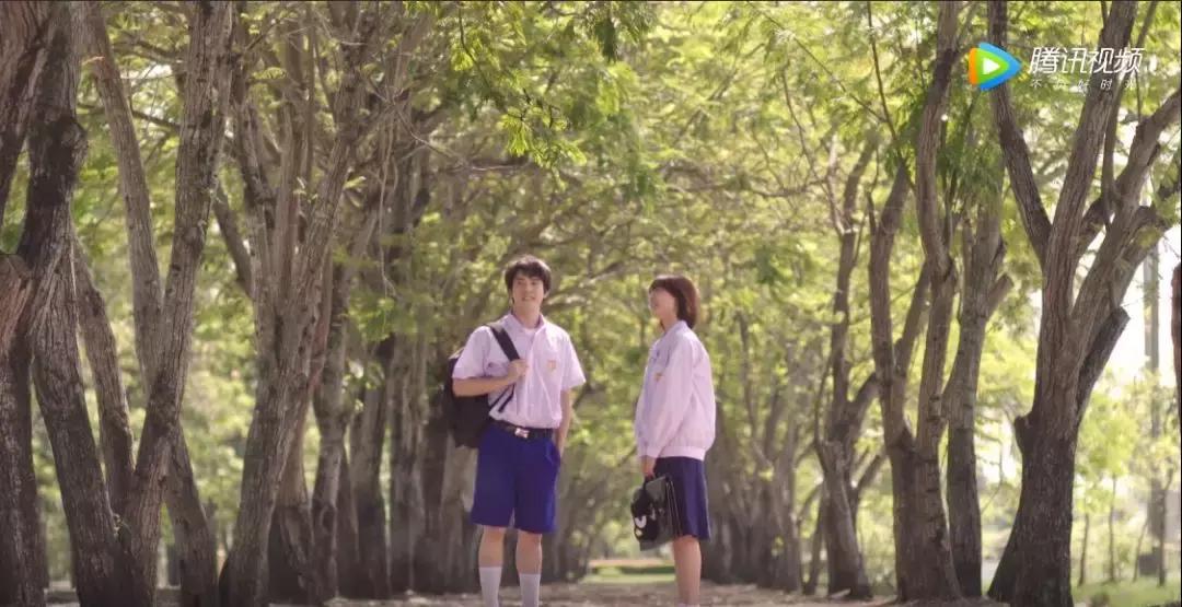 一部超高颜值的甜剧,最成功的新版翻拍剧