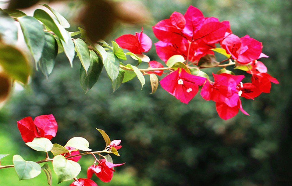 十二星座中谁跟天蝎最合适,十二星座谁最能读懂天蝎