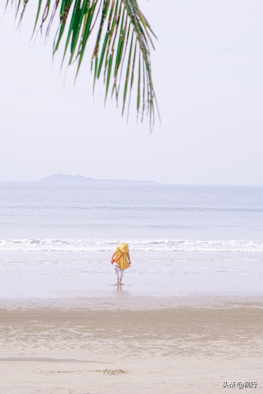 被猴子袭击，门票昂贵，拍照被轰，被我全程吐槽的三亚到底值不值