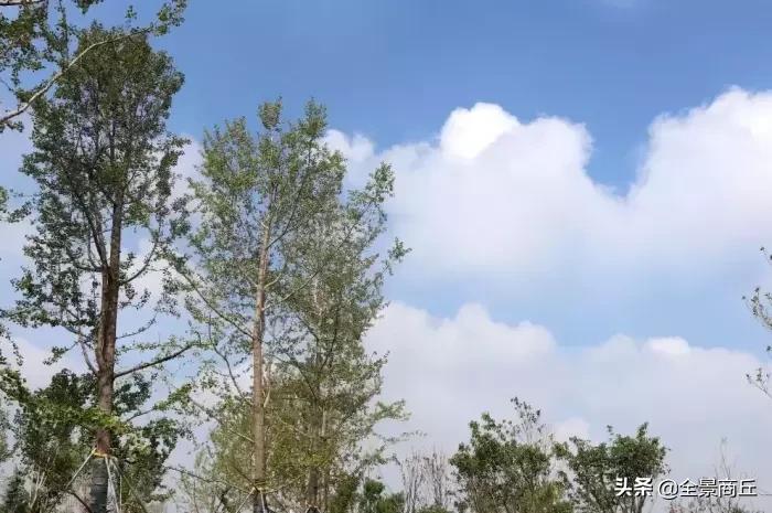 三条河交汇的地方,三条河流交汇处