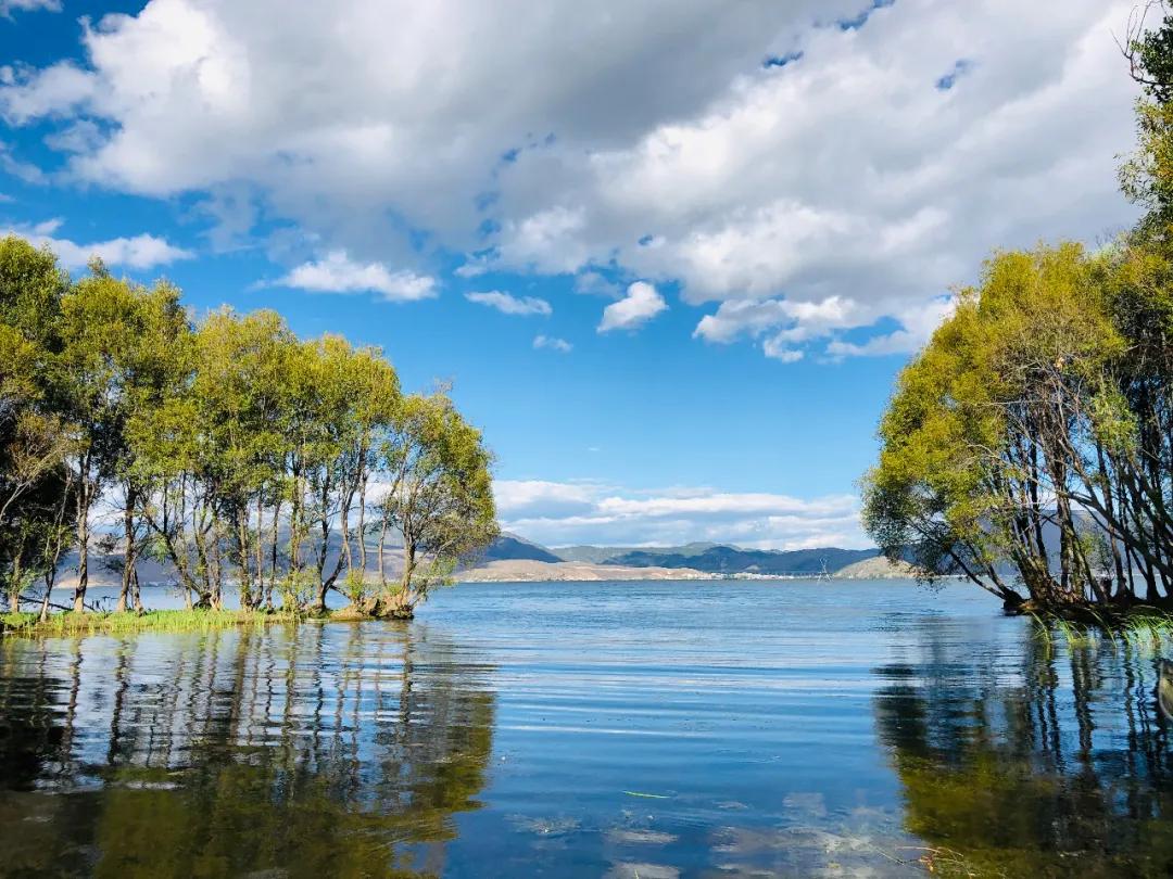 天气预报今明两天大理有大暴雨吗,大理天气几号有雨
