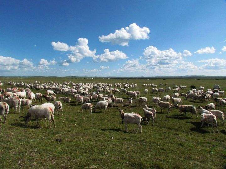 暂离城市的喧嚣，来拥抱若尔盖大草原，湖在天上，天在湖中