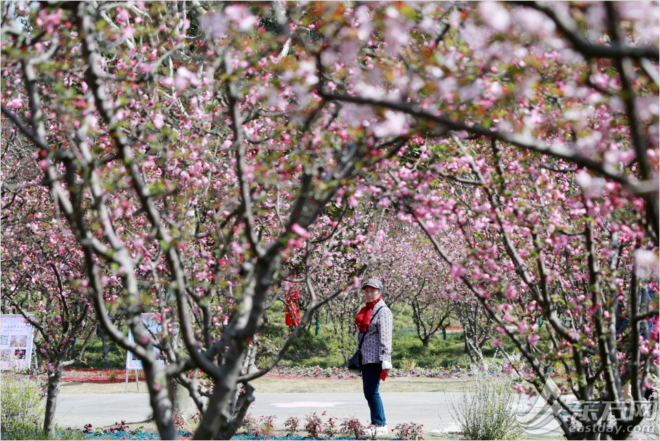 冬日暖阳黄兴公园的美景,公园黄兴公园