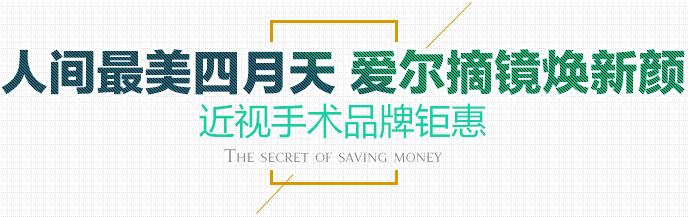 日照绿茶价格表,日照