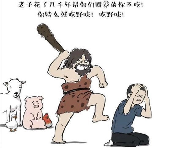 中国人的航天历史,中国人的奋斗史