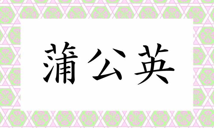 蒲公英用日语怎么说,蒲公英怎么说日语