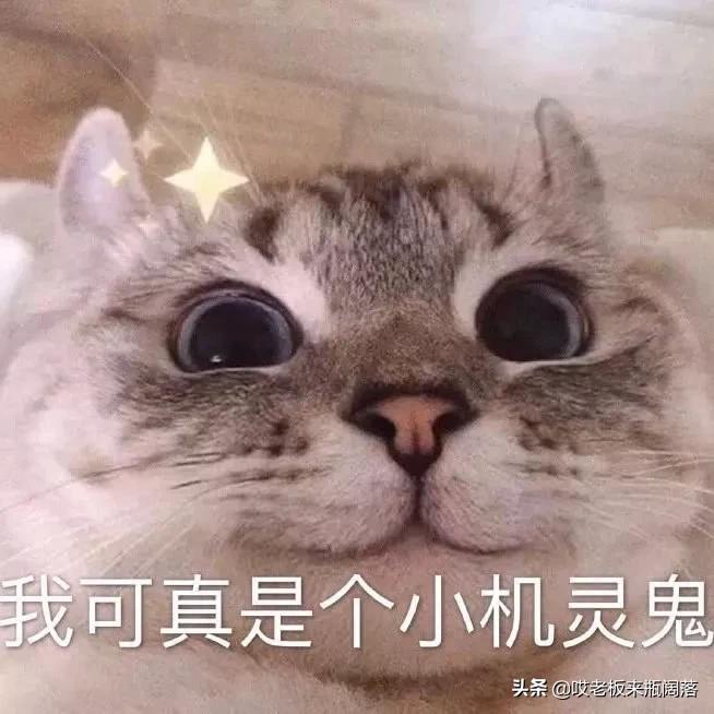 春天穿什么鞋子比较合适,今年最火鞋子冬款