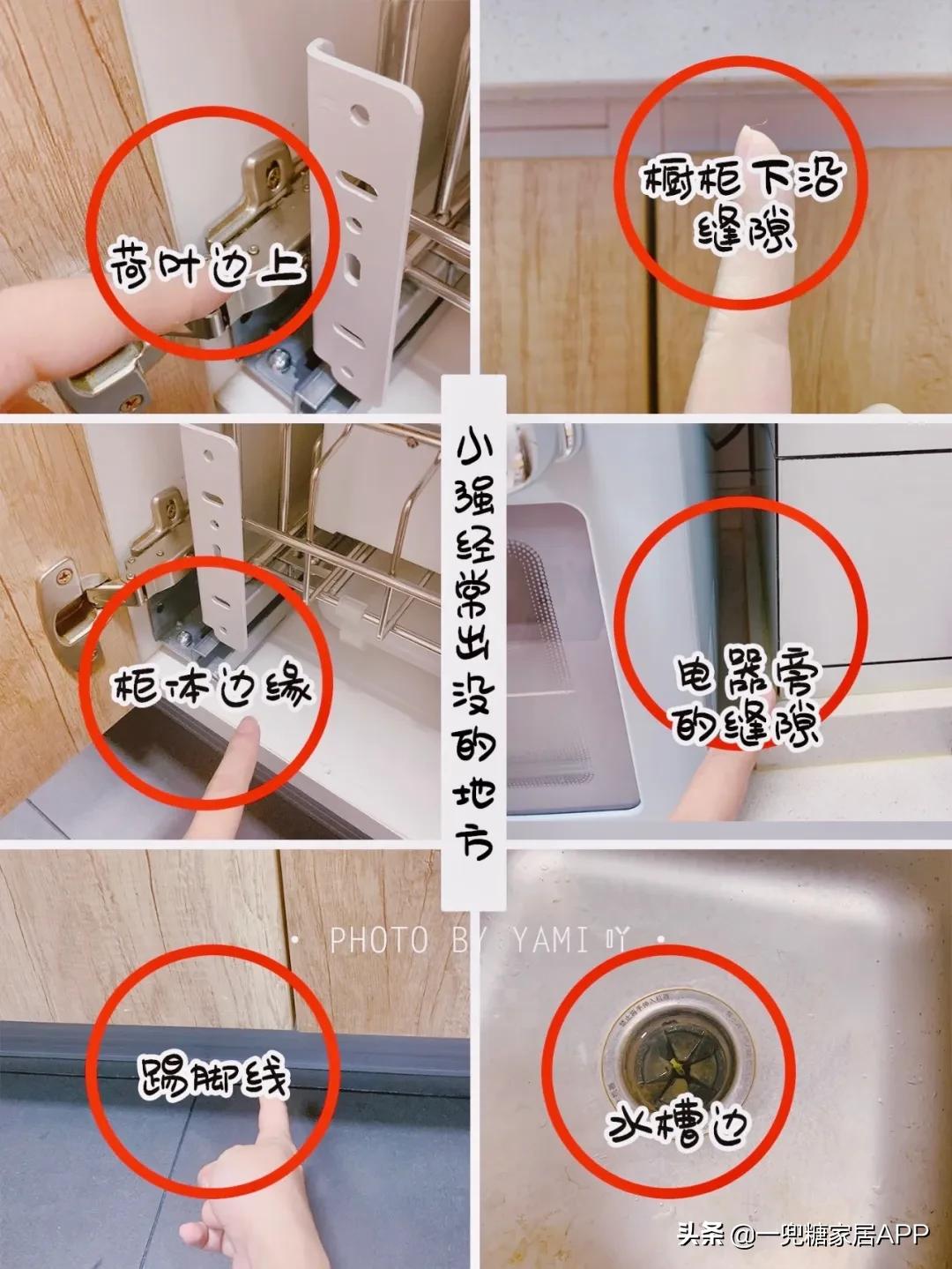 灭蚊蝇蟑螂买什么最有效,黑科技驱蚊驱蟑神器