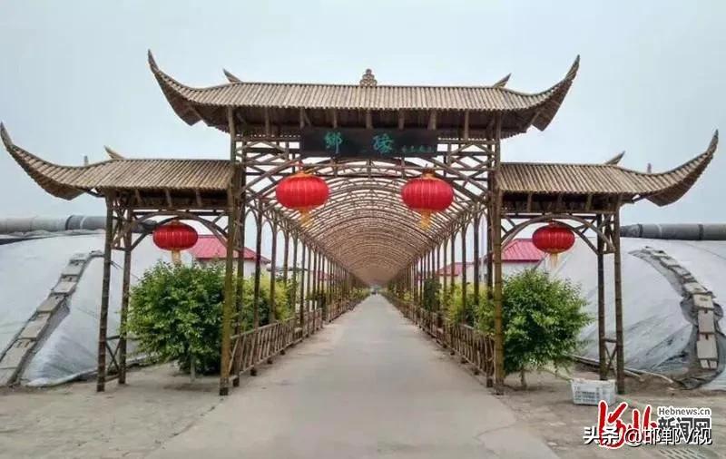 邯郸自驾游看花十大排行榜,石家庄48条春观花旅游线路