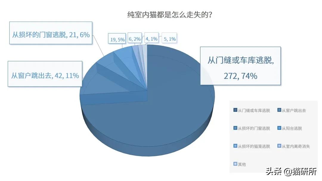 养猫怎么防止猫咪跑丢,猫咪走丢3招快速找回