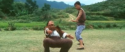 100部经典功夫老片,有哪些经典的武侠功夫片