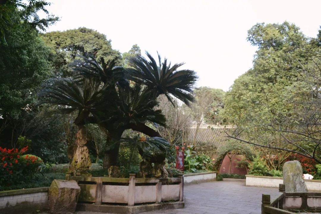 张杰老家在成都新都区新繁镇哪里,新都离新繁多少公里