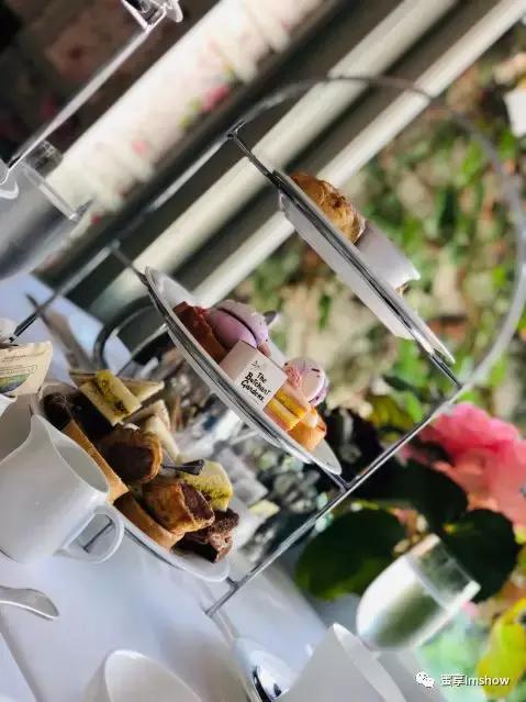 走进爱丽丝梦游仙境,爱丽丝梦游仙境绝美森林