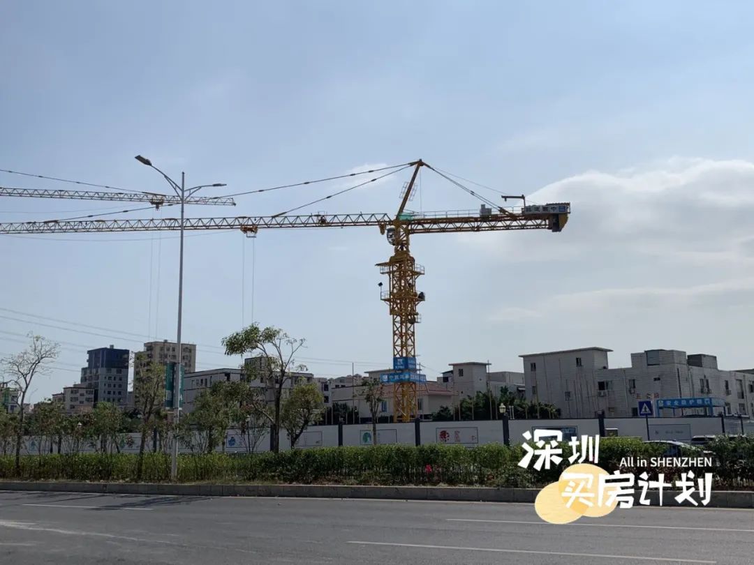 深圳目前值得打新的楼盘,深圳12月打新火爆新盘