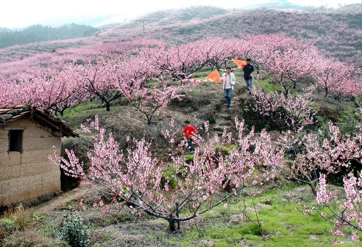 72条自驾游路线推荐,诗与远方的房车自驾游
