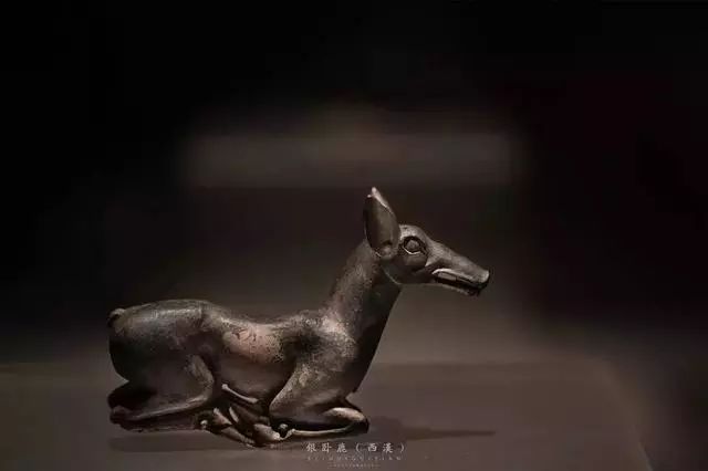 陕西历史博物馆主题文物,五千年历史尽在陕西历史博物馆