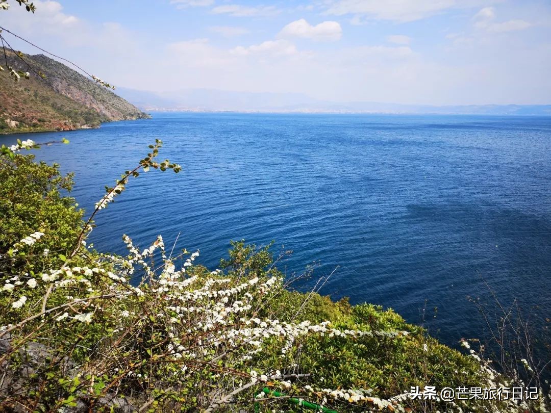 广州到云南5天旅游攻略图,广州去云南抚仙湖怎么去