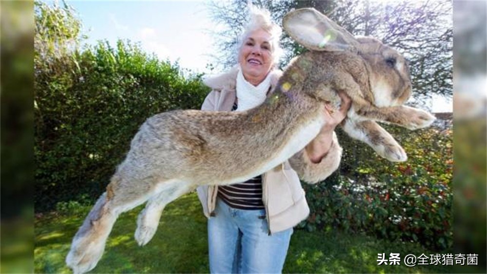 word一般字体大小是多少,word字体大小是多少