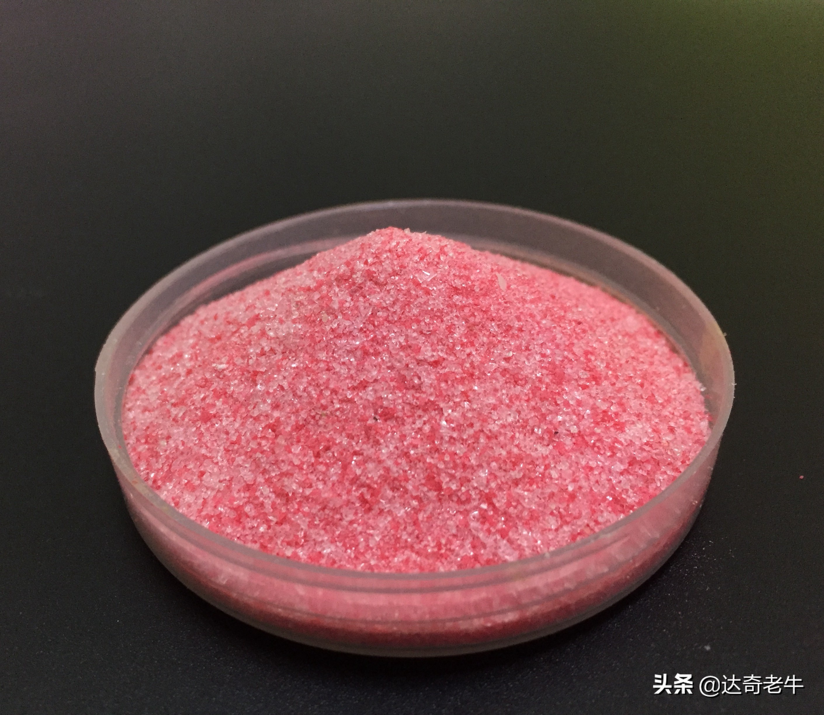 自制红虫蚯蚓拉饵视频,自制红虫伴侣