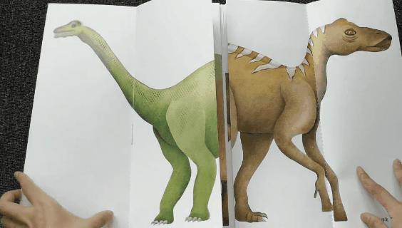 适合孩子看的恐龙科普书,适合5岁孩子看的恐龙科普书