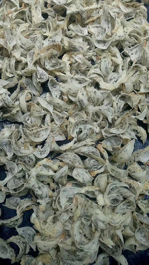 燕窝知识儿童篇,你不知道的营养知识