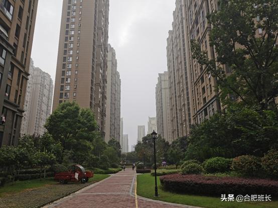 合肥未来十年看滨湖,合肥滨湖区十年变化介绍