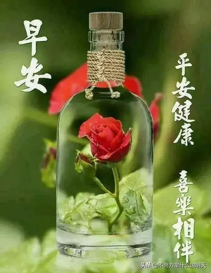 清晨特漂亮早上好祝福语动态图片,最美的早晨祝福语图片大全