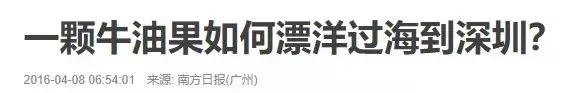 牛油果的骗局是真的吗,牛油果是不是一个骗局