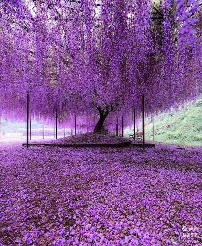 微电影爱情观阐述,微电影赏析视频