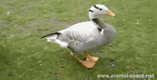 如果知道憋尿的后果，我打赌你再也不会憋了……