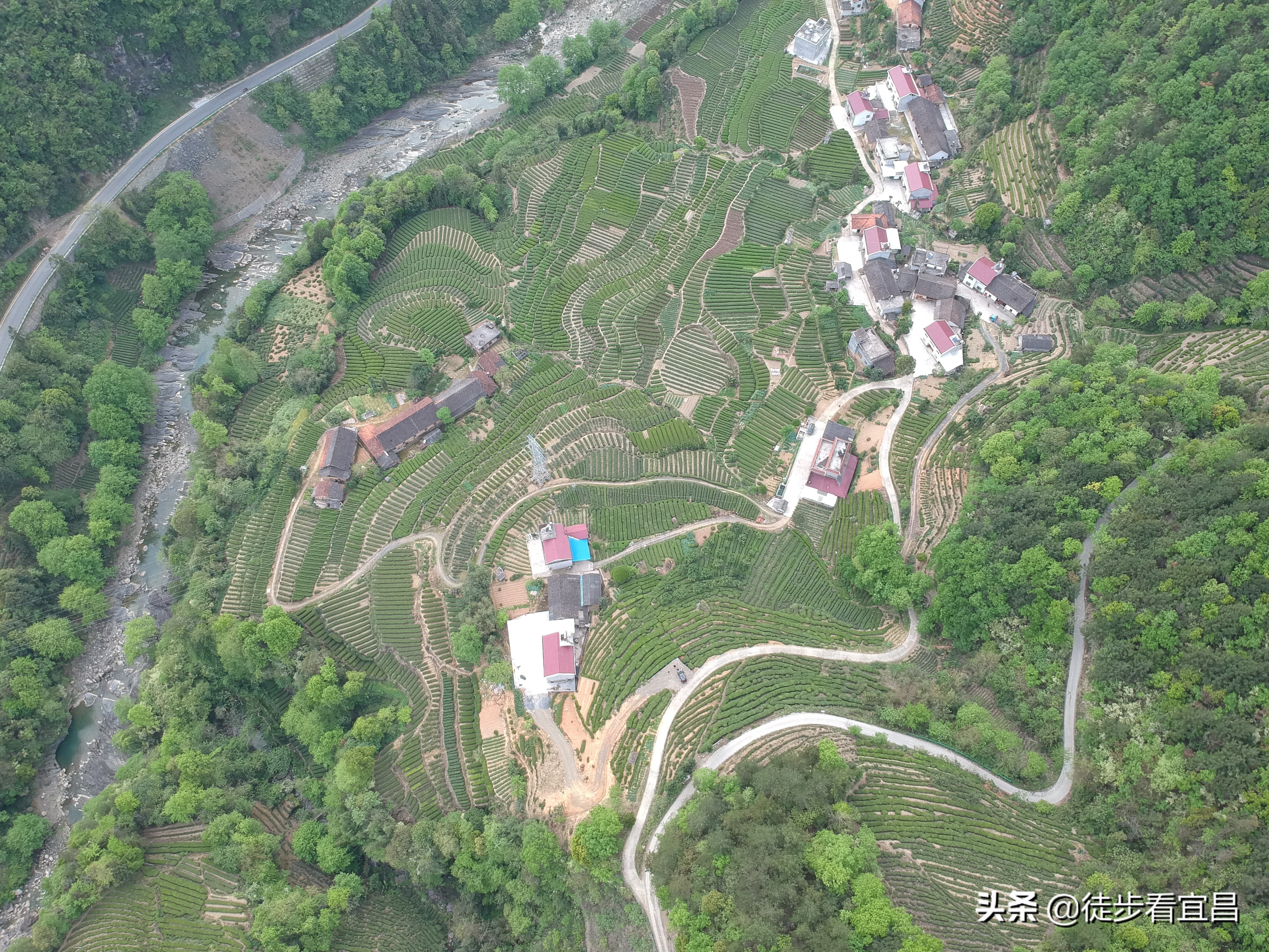 宜昌五峰风景真实照片,五峰茶山航拍