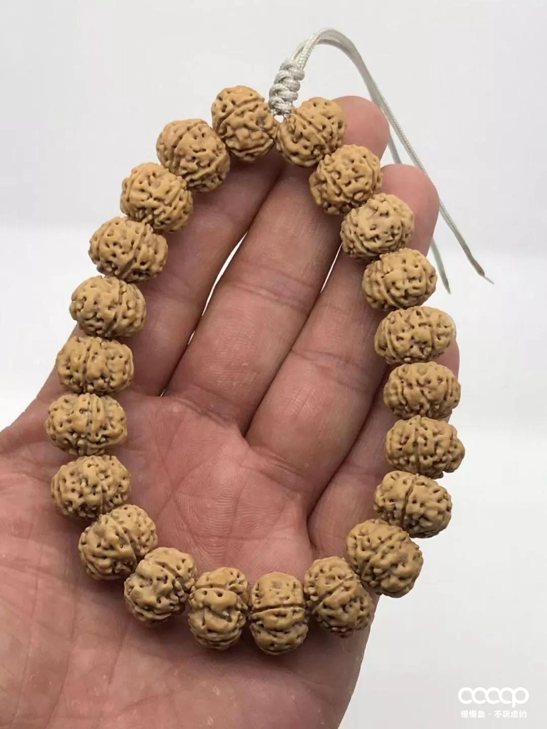 小金刚价格为什么差这么多,小金刚被骗200万