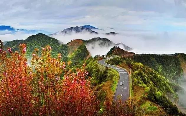 宁波踏春游玩,宁波春游推荐