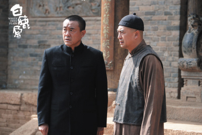 白鹿原中最悲惨的一幕,白鹿原中的败笔有哪些