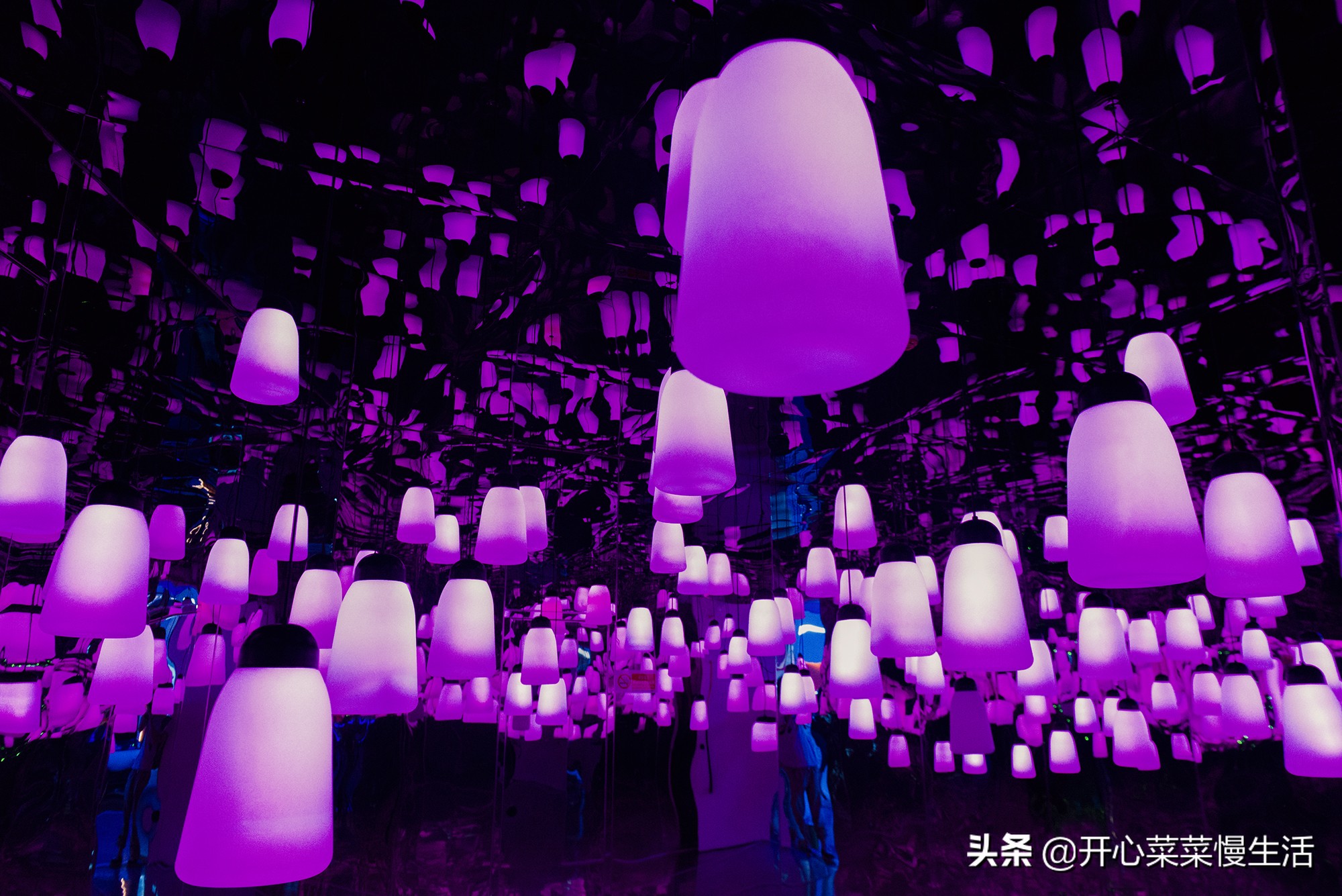 江西省赣州全南,江西省赣州市全南县