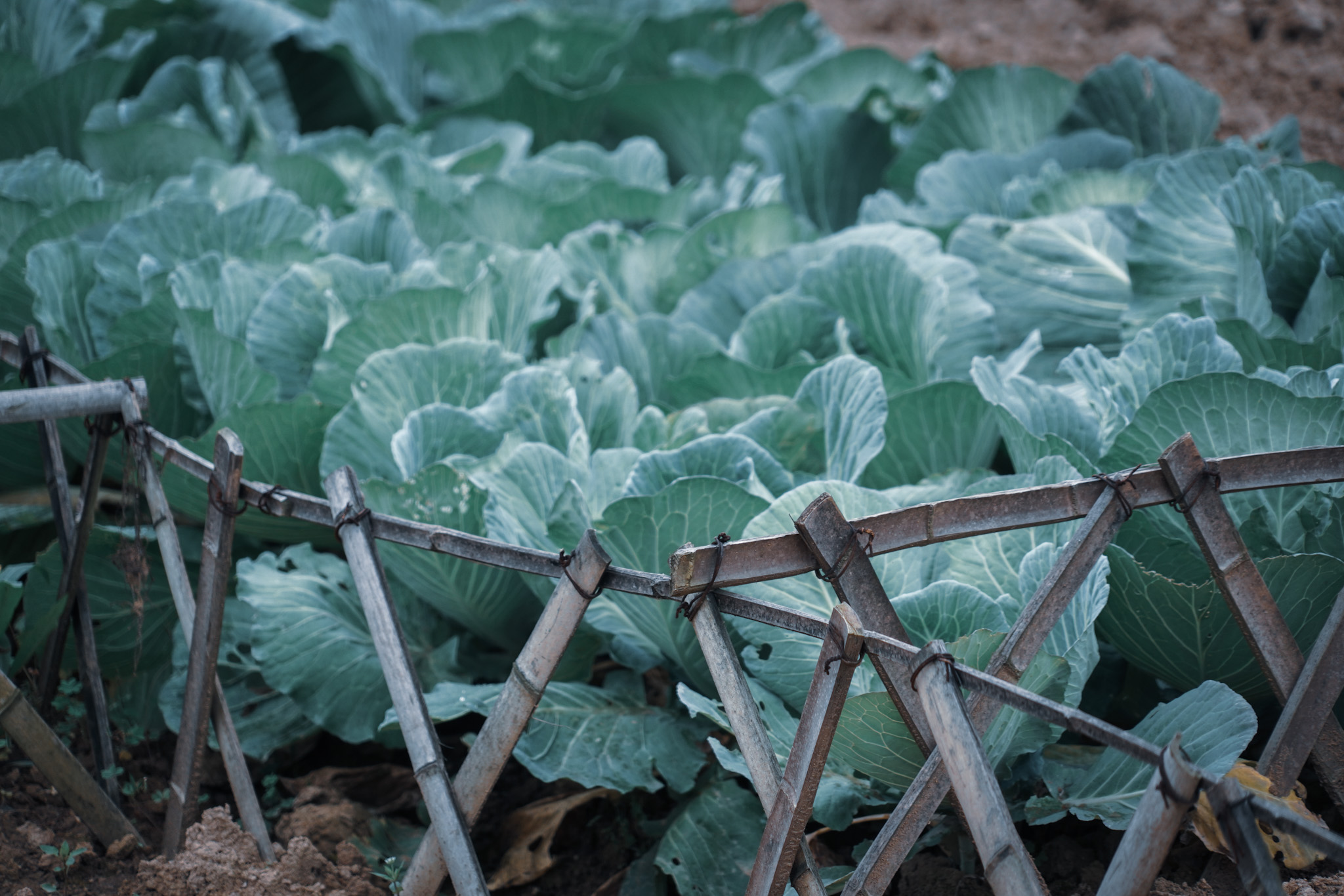 郴州仰天湖民宿多少钱一晚,郴州民宿一晚多少钱