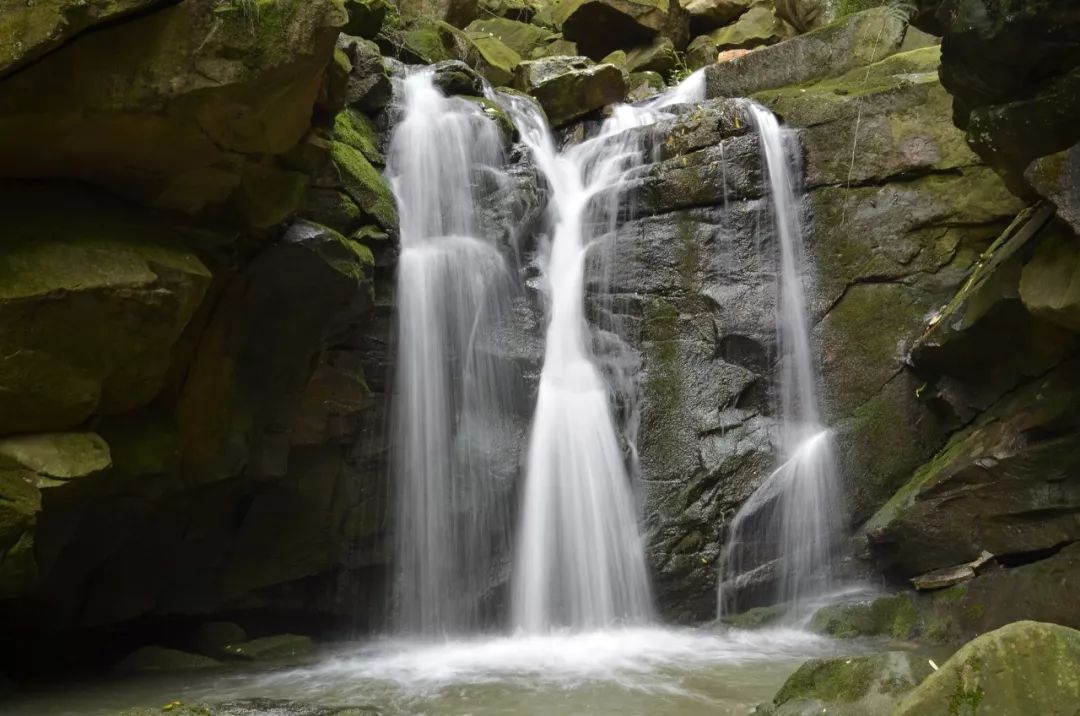 bw滤镜价格,bw滤镜哪里有正品