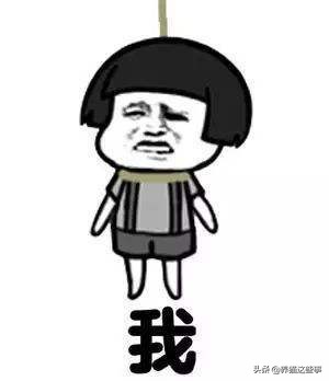 猫咪到处拉屎拉尿怎么除臭,带猫咪出门怎么解决排泄问题