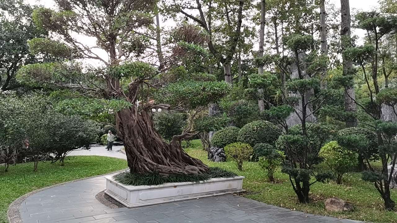 荔枝公园深圳,深圳第一公园荔枝公园