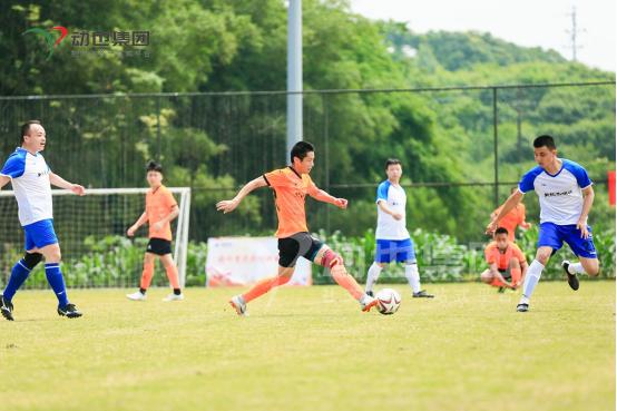 国足胜利的八大理由,国足胜利背后深层次的反思与前行