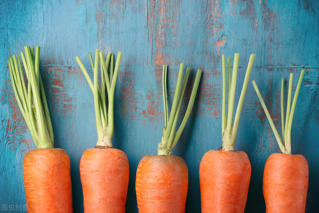 荷兰的绝美照片,荷兰绝美自然风光照片
