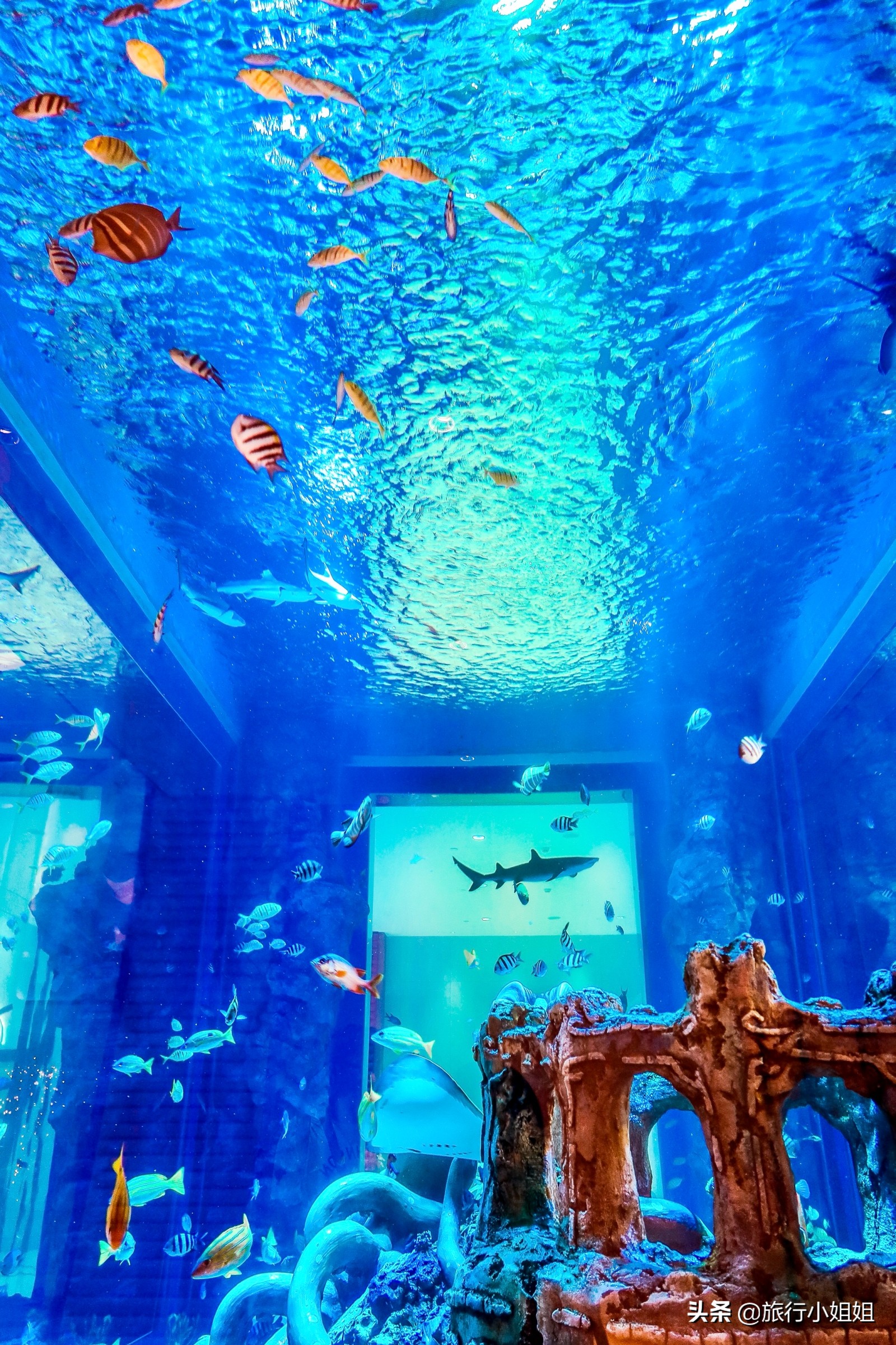 住在梦幻城堡,抚仙湖海豚湾住宿攻略