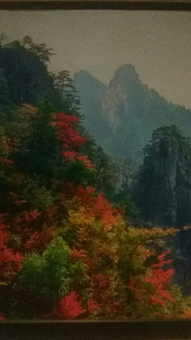 老界岭的山顶,老界岭冬天景色